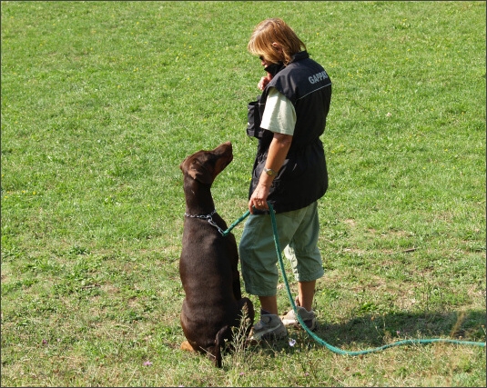 Summer training camp - Jelenec - 2007